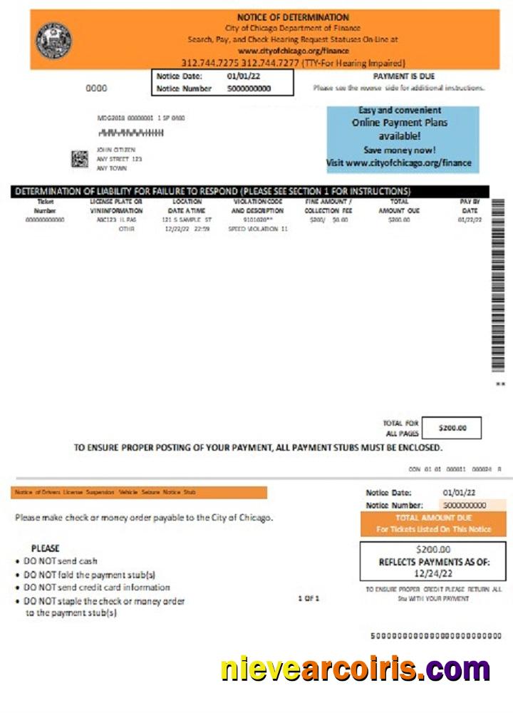 USA Chicago Notice of Determination